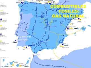 COMBUSTIBLES
FOSILES:
GAS NATURAL
▲Barco metanero y planta de
regasificación (Vizcaya)
Red de gasoductos ►
 