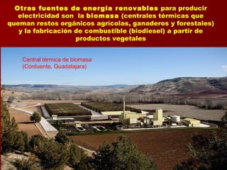 Otras fuentes de energía renovables para producir
electricidad son la biomasa (centrales térmicas que
queman restos orgánicos agrícolas, ganaderos y forestales)
y la fabricación de combustible (biodiesel) a partir de
productos vegetales
Central térmica de biomasa
(Corduente, Guadalajara)
 