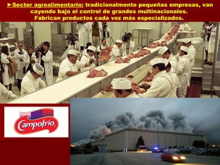 ►Sector agroalimentario: tradicionalmente pequeñas empresas, van
cayendo bajo el control de grandes multinacionales.
Fabrican productos cada vez más especializados.
 