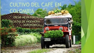 CULTIVO DEL CAFÉ EN
COLOMBIA
OSCAR MEJIA FORERO
FACULTAD DE INGENIERIA
AGRONÓMICA
UNIVERSIDAD DE CIENCIAS
APLICADAS Y AMBIENTALES
 