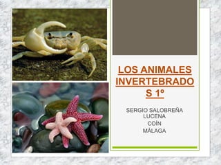 LOS ANIMALES
INVERTEBRADO
S 1º
SERGIO SALOBREÑA
LUCENA
COÍN
MÁLAGA
 