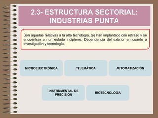 2.3- ESTRUCTURA SECTORIAL:
INDUSTRIAS PUNTA
Son aquellas relativas a la alta tecnología. Se han implantado con retraso y se
encuentran en un estado incipiente. Dependencia del exterior en cuanto a
investigación y tecnología.

MICROELECTRÓNICA

TELEMÁTICA

INSTRUMENTAL DE
PRECISIÓN

AUTOMATIZACIÓN

BIOTECNOLOGÍA

 