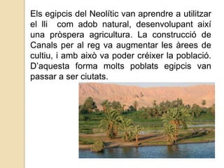 Els egipcis del Neolític van aprendre a utilitzar
el lli com adob natural, desenvolupant així
una pròspera agricultura. La construcció de
Canals per al reg va augmentar les àrees de
cultiu, i amb això va poder créixer la població.
D’aquesta forma molts poblats egipcis van
passar a ser ciutats.

 