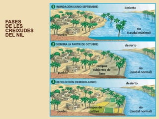 FASES
DE LES
CREIXUDES
DEL NIL

 