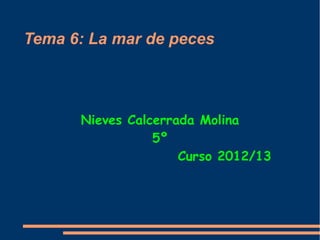 Tema 6: La mar de peces



      Nieves Calcerrada Molina
                 5º
                     Curso 2012/13
 