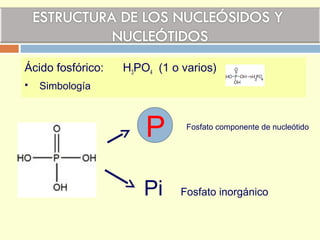 Ácido fosfórico: H3PO4 (1 o varios)
 Simbología
P
Pi Fosfato inorgánico
Fosfato componente de nucleótido
 
