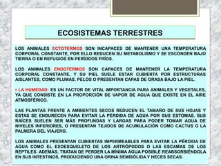 ECOSISTEMAS TERRESTRES
LOS ANIMALES ECTOTERMOS SON INCAPACES DE MANTENER UNA TEMPERATURA
CORPORAL CONSTANTE, POR ELLO REDUCEN SU METABOLISMO Y SE ESCONDEN BAJO
TIERRA O EN REFUGIOS EN PERÍODOS FRÍOS.
LOS ANIMALES ENDOTERMOS SON CAPACES DE MANTENER LA TEMPERATURA
CORPORAL CONSTANTE, Y SU PIEL SUELE ESTAR CUBIERTA POR ESTRUCTURAS
AISLANTES, COMO PLUMAS, PELOS O PRESENTAN CAPAS DE GRASA BAJO LA PIEL.
• LA HUMEDAD: ES UN FACTOR DE VITAL IMPORTANCIA PARA ANIMALES Y VEGETALES,
YA QUE CONSISTE EN LA PROPORCIÓN DE VAPOR DE AGUA QUE EXISTE EN EL AIRE
ATMOSFÉRICO.
LAS PLANTAS FRENTE A AMBIENTES SECOS REDUCEN EL TAMAÑO DE SUS HOJAS Y
ESTAS SE ENDURECEN PARA EVITAR LA PÉRDIDA DE AGUA POR SUS ESTOMAS. SUS
RAÍCES SUELEN SER MÁS PROFUNDAS Y LARGAS PARA PODER TOMAR AGUA DE
NIVELES INFERIORES, O PRESENTAN TEJIDOS DE ACUMULACIÓN COMO CACTUS O LA
PALMERA DEL VIAJERO.
LOS ANIMALES PRESENTAN CUBIERTAS IMPERMEABLES PARA EVITAR LA PÉRDIDA DE
AGUA COMO EL EXOESQUELETO DE LOS ARTRÓPODOS O LAS ESCAMAS DE LOS
REPTILES. ADEMÁS, TRATAN DE PERDER LA MÍNIMA AGUA POSIBLE REABSORBIÉNDOLA
EN SUS INTESTINOS, PRODUCIENDO UNA ORINA SEMISÓLIDA Y HECES SECAS.
 