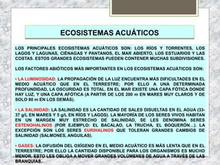 ECOSISTEMAS ACUÁTICOS
LOS PRINCIPALES ECOSISTEMAS ACUÁTICOS SON: LOS RÍOS Y TORRENTES, LOS
LAGOS Y LAGUNAS, CIÉNAGAS Y PANTANOS, EL MAR ABIERTO, LOS ESTUARIOS Y LAS
COSTAS. ESTOS GRANDES ECOSISTEMAS PUEDEN CONTENER MUCHAS SUBDIVISIONES.
LOS FACTORES ABIÓTICOS MÁS IMPORTANTES EN LOS ECOSISTEMAS ACUÁTICOS SON:
• LA LUMINOSIDAD: LA PROPAGACIÓN DE LA LUZ ENCUENTRA MÁS DIFICULTADES EN EL
MEDIO ACUÁTICO QUE EN EL TERRESTRE; POR ELLO A UNA DETERMINADA
PROFUNDIDAD, LA OSCURIDAD ES TOTAL. EN EL MAR EXISTE UNA CAPA FÓTICA DONDE
HAY LUZ, Y UNA CAPA AFÓTICA (A PARTIR DE LOS 200 m EN MARES MUY CLAROS Y DE
SOLO 80 m EN LOS DEMÁS).
• LA SALINIDAD: LA SALINIDAD ES LA CANTIDAD DE SALES DISUELTAS EN EL AGUA (33-
37 g/L EN MARES Y 5 g/L EN RÍOS Y LAGOS). LA MAYORÍA DE LOS SERES VIVOS HABITAN
EN UN MARGEN MUY ESTRECHO DE SALINIDAD, SE LES DENOMINA SERES
ESTENOHALINOS (POR EJEMPLO: EL BACALAO, LA TRUCHA, EL BOQUERÓN…). LA
EXCEPCIÓN SON LOS SERES EURIHALINOS QUE TOLERAN GRANDES CAMBIOS DE
SALINIDAD (SALMONES, ANGUILAS).
• GASES: LA DIFUSIÓN DEL OXÍGENO EN EL MEDIO ACUÁTICO ES MÁS LENTA QUE EN EL
TERRESTRE; POR ELLO LA CANTIDAD DISPONIBLE PARA LOS ORGANISMOS ES MUCHO
MENOR. ESTO LES OBLIGA A MOVER GRANDES VOLÚMENES DE AGUA A TRAVÉS DE LAS
BRANQUIAS.
 
