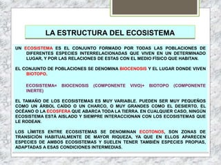 LA ESTRUCTURA DEL ECOSISTEMA
UN ECOSISTEMA ES EL CONJUNTO FORMADO POR TODAS LAS POBLACIONES DE
DIFERENTES ESPECIES INTERRELACIONADAS QUE VIVEN EN UN DETERMINADO
LUGAR, Y POR LAS RELACIONES DE ESTAS CON EL MEDIO FÍSICO QUE HABITAN.
EL CONJUNTO DE POBLACIONES SE DENOMINA BIOCENOSIS Y EL LUGAR DONDE VIVEN
BIOTOPO.
ECOSISTEMA= BIOCENOSIS (COMPONENTE VIVO)+ BIOTOPO (COMPONENTE
INERTE)
EL TAMAÑO DE LOS ECOSISTEMAS ES MUY VARIABLE. PUEDEN SER MUY PEQUEÑOS
COMO UN ÁRBOL CAÍDO O UN CHARCO, O MUY GRANDES COMO EL DESIERTO, EL
OCÉANO O LA ECOSFERA QUE ABARCA TODA LA TIERRA. EN CUALQUIER CASO, NINGÚN
ECOSISTEMA ESTÁ AISLADO Y SIEMPRE INTERACCIONAN CON LOS ECOSISTEMAS QUE
LE RODEAN.
LOS LÍMITES ENTRE ECOSISTEMAS SE DENOMINAN ECOTONOS, SON ZONAS DE
TRANSICIÓN HABITUALMENTE DE MAYOR RIQUEZA, YA QUE EN ELLOS APARECEN
ESPECIES DE AMBOS ECOSISTEMAS Y SUELEN TENER TAMBIÉN ESPECIES PROPIAS,
ADAPTADAS A ESAS CONDICIONES INTERMEDIAS.
 