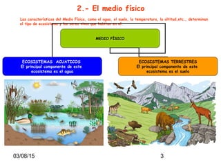 03/08/15 3
2.- El medio físico
Las características del Medio Físico, como el agua, el suelo, la temperatura, la altitud,etc., determinan
el tipo de ecosistema y los seres vivos que habitan en el.
MEDIO FÍSICO
ECOSISTEMAS ACUATICOS
El principal componente de este
ecosistema es el agua
ECOSISTEMAS TERRESTRES
El principal componente de este
ecosistema es el suelo
 