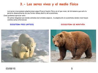03/08/15 5
3.- Los seres vivos y el medio físico
Los seres vivos poseen adaptaciones específicas al medio físico en el que viven, de tal manera que esto le
permite desenvolverse de una forma idónea dentro del ecosistema.
Como podemos apreciar esto:
En estas imágenes aun siendo animales de la misma especie , la adaptación al ecosistema donde viven hacen
visibles estas diferencias
ECOSITEMA FRIO (ARTICO) ECOSISTEMA DE MONTAÑA
 