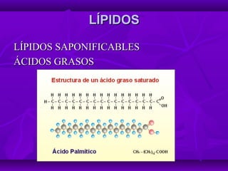 LÍPIDOSLÍPIDOS
LÍPIDOS SAPONIFICABLESLÍPIDOS SAPONIFICABLES
ÁCIDOS GRASOSÁCIDOS GRASOS
 