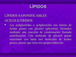 LÍPIDOSLÍPIDOS
LÍPIDOS SAPONIFICABLESLÍPIDOS SAPONIFICABLES
ACILGLICÉRIDOSACILGLICÉRIDOS
 Los acilglicéridos o acilgliceroles son ésteres deLos acilglicéridos o acilgliceroles son ésteres de
ácidos grasos con glicerol (glicerina), formadosácidos grasos con glicerol (glicerina), formados
mediante una reacción de condensación llamadamediante una reacción de condensación llamada
esterificación. Una molécula de glicerol puedeesterificación. Una molécula de glicerol puede
reaccionar con hasta tres moléculas de ácidosreaccionar con hasta tres moléculas de ácidos
grasos, puesto que tiene tres grupos hidroxilo.grasos, puesto que tiene tres grupos hidroxilo.
 