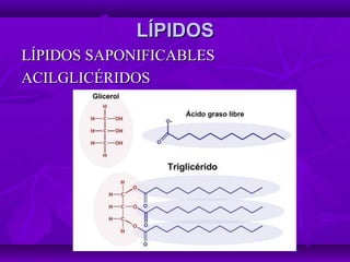 LÍPIDOSLÍPIDOS
LÍPIDOS SAPONIFICABLESLÍPIDOS SAPONIFICABLES
ACILGLICÉRIDOSACILGLICÉRIDOS
 