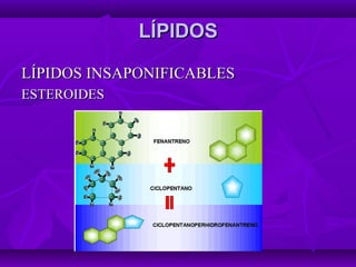 LÍPIDOSLÍPIDOS
LÍPIDOS INSAPONIFICABLESLÍPIDOS INSAPONIFICABLES
ESTEROIDESESTEROIDES
 