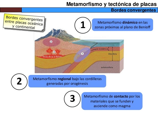 Metamorfismo y tectónica de placas
Bordes convergentes
1 Metamorfismo dinámico en las
zonas próximas al plano de Benioff
2...