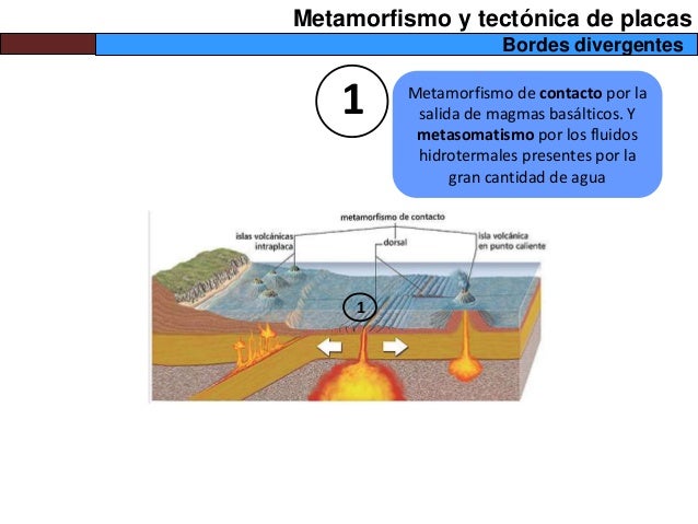 Metamorfismo y tectónica de placas
Bordes divergentes
1 Metamorfismo de contacto por la
salida de magmas basálticos. Y
met...