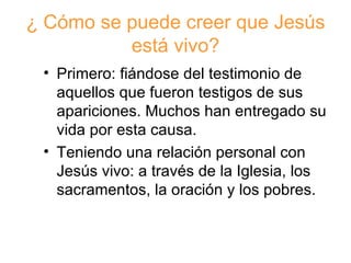 ¿ Cómo se puede creer que Jesús está vivo? Primero: fiándose del testimonio de aquellos que fueron testigos de sus apariciones. Muchos han entregado su vida por esta causa. Teniendo una relación personal con Jesús vivo: a través de la Iglesia, los sacramentos, la oración y los pobres.  