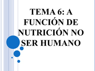 TEMA 6: A
FUNCIÓN DE
NUTRICIÓN NO
SER HUMANO
 