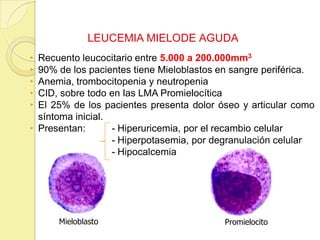 LEUCEMIA MIELODE AGUDA
• Recuento leucocitario entre 5.000 a 200.000mm3
• 90% de los pacientes tiene Mieloblastos en sangre periférica.
• Anemia, trombocitopenia y neutropenia
• CID, sobre todo en las LMA Promielocítica
• El 25% de los pacientes presenta dolor óseo y articular como
síntoma inicial.
• Presentan: - Hiperuricemia, por el recambio celular
- Hiperpotasemia, por degranulación celular
- Hipocalcemia
Mieloblasto Promielocito
 