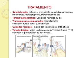 TRATAMIENTO
 Quimioterapia: detiene el crecimiento de células cancerosas:
metotrexato, mercaptopurina, Dexametasona, etc
 Terapia farmacologica: Con ácido retinoico 13-cis
 Transplante de celulas madre: reemplazar las
célulasdestruidas por la quimioterapia
 Cuidados medicos: terapia con transfusión y antibióticos
 Terapia dirigida: utiliza Inhibidores de la Tirosina Cinasa (ITC),
bloquean la proliferacion de blastocitos .
 