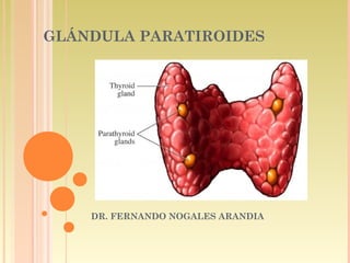 GLÁNDULA PARATIROIDES
DR. FERNANDO NOGALES ARANDIA
 