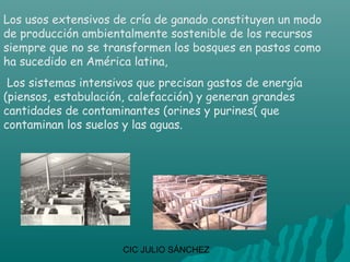 Los usos extensivos de cría de ganado constituyen un modo
de producción ambientalmente sostenible de los recursos
siempre que no se transformen los bosques en pastos como
ha sucedido en América latina,
 Los sistemas intensivos que precisan gastos de energía
(piensos, estabulación, calefacción) y generan grandes
cantidades de contaminantes (orines y purines( que
contaminan los suelos y las aguas.




                      CIC JULIO SÁNCHEZ
 