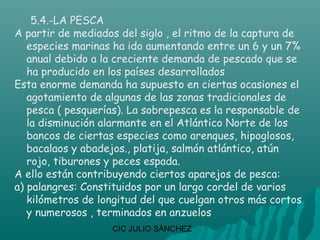 5.4.-LA PESCA
A partir de mediados del siglo , el ritmo de la captura de
   especies marinas ha ido aumentando entre un 6 y un 7%
   anual debido a la creciente demanda de pescado que se
   ha producido en los países desarrollados
Esta enorme demanda ha supuesto en ciertas ocasiones el
   agotamiento de algunas de las zonas tradicionales de
   pesca ( pesquerías). La sobrepesca es la responsable de
   la disminución alarmante en el Atlántico Norte de los
   bancos de ciertas especies como arenques, hipoglosos,
   bacalaos y abadejos., platija, salmón atlántico, atún
   rojo, tiburones y peces espada.
A ello están contribuyendo ciertos aparejos de pesca:
a) palangres: Constituidos por un largo cordel de varios
   kilómetros de longitud del que cuelgan otros más cortos
   y numerosos , terminados en anzuelos
                   CIC JULIO SÁNCHEZ
 
