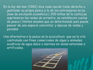 En la ley del mar (1982) dice cada nación tiene derecho a
  gestionar su propia pesca y la de los extranjeros en su
  zona de exclusión económica ( 200 millas de la costa),se
  suprimieron las redes de arrastre, se establecen cuotas
  de pesca ( limites anuales que un determinado país puede
  pescar de una especie concreta) y épocas de vedas y
  paradas

Una alternativa a la pesca es la acuicultura que es la cría
  controlada con fines comerciales de algas y animales
  acuáticos de agua dulce o marinos en zonas naturales o
  artificiales.




                     CIC JULIO SÁNCHEZ
 
