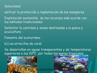 Soluciones:
unificar la protección y replantación de los manglares
Explotación sostenible de los recursos más acorde con
los métodos tradicionales
Delimitar la cantidad y zonas destinadas a la pesca y
acuicultura
Fomento del ecoturismo
b) Los arrecifes de coral
Se desarrollan en aguas transparentes y de temperaturas
superiores a los 20ºC por todos los mares tropicales



                    CIC JULIO SÁNCHEZ
 
