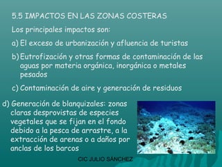 5.5 IMPACTOS EN LAS ZONAS COSTERAS
  Los principales impactos son:
  a) El exceso de urbanización y afluencia de turistas
  b) Eutrofización y otras formas de contaminación de las
     aguas por materia orgánica, inorgánica o metales
     pesados
  c) Contaminación de aire y generación de residuos

d) Generación de blanquizales: zonas
   claras desprovistas de especies
   vegetales que se fijan en el fondo
   debido a la pesca de arrastre, a la
   extracción de arenas o a daños por
   anclas de los barcos
                      CIC JULIO SÁNCHEZ
 