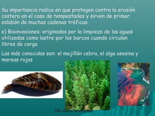 Su importancia radica en que protegen contra la erosión
costera en el caso de tempestades y sirven de primer
eslabón de muchas cadenas tróficas
e) Bioinvasiones: originadas por la limpieza de las aguas
utilizadas como lastre por los barcos cuando circulan
libres de carga
Las más conocidas son: el mejillón cebra, el alga asesina y
mareas rojas




                      CIC JULIO SÁNCHEZ
 