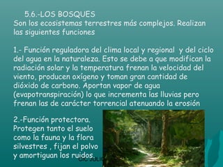 5.6.-LOS BOSQUES
Son los ecosistemas terrestres más complejos. Realizan
las siguientes funciones

1.- Función reguladora del clima local y regional y del ciclo
del agua en la naturaleza. Esto se debe a que modifican la
radiación solar y la temperatura frenan la velocidad del
viento, producen oxígeno y toman gran cantidad de
dióxido de carbono. Aportan vapor de agua
(evapotranspiración) lo que incrementa las lluvias pero
frenan las de carácter torrencial atenuando la erosión

2.-Función protectora.
Protegen tanto el suelo
como la fauna y la flora
silvestres , fijan el polvo
y amortiguan los ruidos.
                     CIC JULIO SÁNCHEZ
 