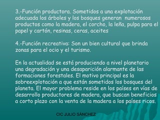 3.-Función productora. Sometidos a una explotación
adecuada los árboles y los bosques generan numerosos
productos como la madera, el corcho, la leña, pulpa para el
papel y cartón, resinas, ceras, aceites

4.-Función recreativa: Son un bien cultural que brinda
zonas para el ocio y el turismo.

En la actualidad se está produciendo a nivel planetario
una degradación y una desaparición alarmante de las
formaciones forestales. El motivo principal es la
sobreexplotación a que están sometidos los bosques del
planeta. El mayor problema reside en los países en vías de
desarrollo productores de madera, que buscan beneficios
a corto plazo con la venta de la madera a los países ricos.

                 CIC JULIO SÁNCHEZ
 