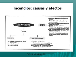 CIC JULIO SÁNCHEZ
 