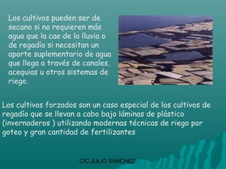 Los cultivos pueden ser de
 secano si no requieren más
 agua que la cae de la lluvia o
 de regadío si necesitan un
 aporte suplementario de agua
 que llega a través de canales,
 acequias u otros sistemas de
 riego.


Los cultivos forzados son un caso especial de los cultivos de
regadío que se llevan a cabo bajo láminas de plástico
(invernaderos ) utilizando modernas técnicas de riego por
goteo y gran cantidad de fertilizantes


                      CIC JULIO SÁNCHEZ
 