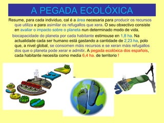 A PEGADA ECOLÓXICA
Resume, para cada individuo, cal é a área necesaria para producir os recursos
que utiliza e para asimilar os refugallos que xera. O seu obxectivo consiste
en avaliar o impacto sobre o planeta nun determinado modo de vida.
A biocapacidade do planeta por cada habitante estimouse en 1,8 ha. Na
actualidade cada ser humano está gastando a cantidade de 2,23 ha, polo
que, a nivel global, se consomen máis recursos e se xeran máis refugallos
dos que o planeta pode xerar e admitir. A pegada ecolóxica dos españois,
cada habitante necesita como media 6,4 ha. de territorio !
 