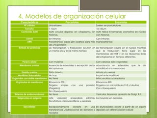 4. Modelos de organización celular
Características
Nº células
Tamaño
Contenido ADN
Genes
ARN
Síntesis de proteínas

Pared celular
Membrana celular

Procariotas

Eucariotas

Unicelulares

Suelen ser pluricelulares

1-10um
10-100um
ADN circular disperso en citoplasma. Sin ADN hélice B formando cromatina en núcleo
histonas.
con histonas
Sin intrones
Policistrónico: cada gen codifica para más
de una proteína
La transcripción y traducción ocurren en
un mismo sitio y en al mismo tiempo

Con intrones
Monocistrónico

Con mureína

Con celulosa (sólo vegetales)

Ausencia de esteroides a excepción de los Abundancia en esteroides
Micoplasmas
estabilidad a la membrana

División celular
Fisión binaria
Movilidad intracelular
No hay
Orgánulos con doble membrana No tiene
Orgánulos sin membrana

Sistema de endomembrana
Exigencias en oxígeno

Sexualidad

La transcripción ocurre en el núcleo mientras
que la traducción tiene lugar en las
membranas del RER y en los ribosomas libres
del citoplasma en tiempos diferentes.

Ribosomas 70S
Flagelos simples
(Flagelina)
Sin citoesqueleto
No tiene

que

le

da

Mitosis y/o meiosis
Importante movilidad
Mitocondrias y cloroplastos
con

una

Ribosomas 80S
proteína Flagelos con microtúbulos 9+2 y tubulina
Con citoesqueleto
Vesículas, lisosomas, aparato de Golgi, R.E.

Alta
variedad;
anaerobias
estrictas, La mayoría son aerobias.
facultativas, microaerofílicas y aerobias
Excepcionalmente
consiste
en
una En pluricelulares ocurre a partir de un cigoto
transferencia unidireccional de donante a diploide con diferenciación celular
receptor

 