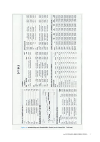 LA GESTION DEL RIESGO DE CAMBIO -   5
 