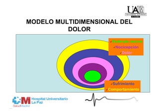 MODELO MULTIDIMENSIONAL DEL
          DOLOR
                      Estímulo  nocivo
                        Nocicepción

                            Dolor




                       Sufrimiento

                     Comportamiento
 