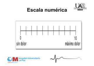 Escala numérica
 