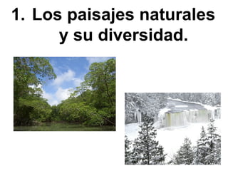 <ul><li>Los paisajes naturales y su diversidad. </li></ul>