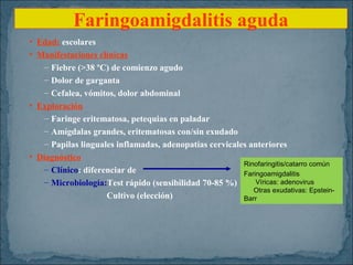 Faringoamigdalitis aguda
• Edad: escolares
• Manifestaciones clínicas
– Fiebre (>38 ºC) de comienzo agudo
– Dolor de garganta
– Cefalea, vómitos, dolor abdominal
• Exploración
– Faringe eritematosa, petequias en paladar
– Amígdalas grandes, eritematosas con/sin exudado
– Papilas linguales inflamadas, adenopatías cervicales anteriores
• Diagnóstico
Rinofaringitis/catarro común
– Clínico: diferenciar de
Faringoamigdalitis
Víricas: adenovirus
– Microbiología:Test rápido (sensibilidad 70-85 %)
Cultivo (elección)

Otras exudativas: EpsteinBarr

 