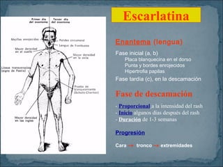 Escarlatina
Enantema (lengua)
Fase inicial (a, b)
Placa blanquecina en el dorso
Punta y bordes enrojecidos
Hipertrofia papilas

Fase tardía (c), en la descamación

Fase de descamación
- Proporcional a la intensidad del rash
- Inicio algunos días después del rash
- Duración de 1-3 semanas
Progresión
Cara → tronco → extremidades

 