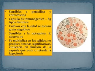 • Sensibles a penicilina y
eritromicina
• Cápsula es inmunogénica – 83
tipos distintos
• Cultivos con la edad se tornan
gram negativos
• Sensibles a la optaquina, S.
virdans no
• Se multiplica en los tejidos, no
produce toxinas significativas,
virulencia en función de la
capsula que evita o retarda la
fagocitosis

 