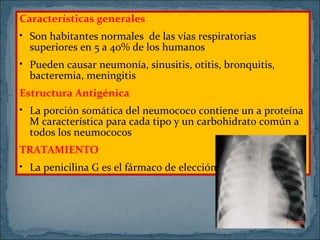 Características generales
• Son habitantes normales de las vías respiratorias
superiores en 5 a 40% de los humanos
• Pueden causar neumonía, sinusitis, otitis, bronquitis,
bacteremia, meningitis
Estructura Antigénica
• La porción somática del neumococo contiene un a proteína
M característica para cada tipo y un carbohidrato común a
todos los neumococos
TRATAMIENTO
• La penicilina G es el fármaco de elección

 