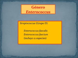 Género
Enterococcus
Streptococcus (Grupo D)
Enterococcus faecalis
Enterococcus faecium
(incluye 12 especies)

 