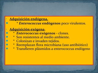 • Adquisición endógena.

* Enterococcus endógenos poco virulentos.
• Adquisición exógena.
 * Enterococcus exógenos - clones.
 * Son resistentes al medio ambiente.
 * Colonizan e invaden tejidos.
 * Reemplazan flora microbiana (uso antibiótico)
 * Transfieren plásmidos a enterococcus endógeno

 