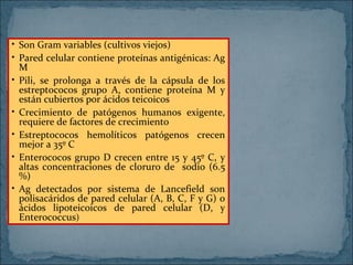 • Son Gram variables (cultivos viejos)
• Pared celular contiene proteínas antigénicas: Ag
M
• Pili, se prolonga a través de la cápsula de los
estreptococos grupo A, contiene proteína M y
están cubiertos por ácidos teicoicos
• Crecimiento de patógenos humanos exigente,
requiere de factores de crecimiento
• Estreptococos hemolíticos patógenos crecen
mejor a 35º C
• Enterococos grupo D crecen entre 15 y 45º C, y
altas concentraciones de cloruro de sodio (6.5
%)
• Ag detectados por sistema de Lancefield son
polisacáridos de pared celular (A, B, C, F y G) o
ácidos lipoteicoicos de pared celular (D, y
Enterococcus)

 