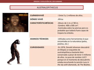 ORIGEN Y EVOLUCIÓN DEL SER HUMANO

AUSTRALOPITHECUS
CUÁNDOVIVIÓ

- Entre 5 y 1 millones de años.

DÓNDE VIVIÓ

-África

CARACTERÍSTICAS
FÍSICAS

-Altura: de 1 m a 1’40 m.
-Cerebro: 400 a 500 cm3.
-Caminaba sobre las piernas pero es
probable que todavía fuera capaz de
trepara los árboles.

AVANCES TÉCNICOS

-U lizaba como herramientas lo que
encontraba en la naturaleza (palos,
piedras, etc.)

CURIOSIDADES

-En 1974, Donald Johanson descubrió
en E opía un esqueleto de
australopithecus bastante bien
conservado a pesar de tener 3 millones
de años. Le puso de nombre LUCY
porque en el momento de descubrirlo
estaba escuchando la canción Lucy in
the sky with diamonds, de The Beatles.

 